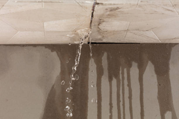 Professional Water Damage Restoration technician working in Orland Park, IL